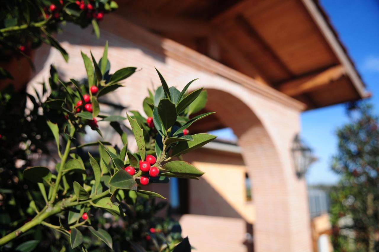 Poggio Dei Cavalieri Bed & Breakfast Boccea Exterior photo